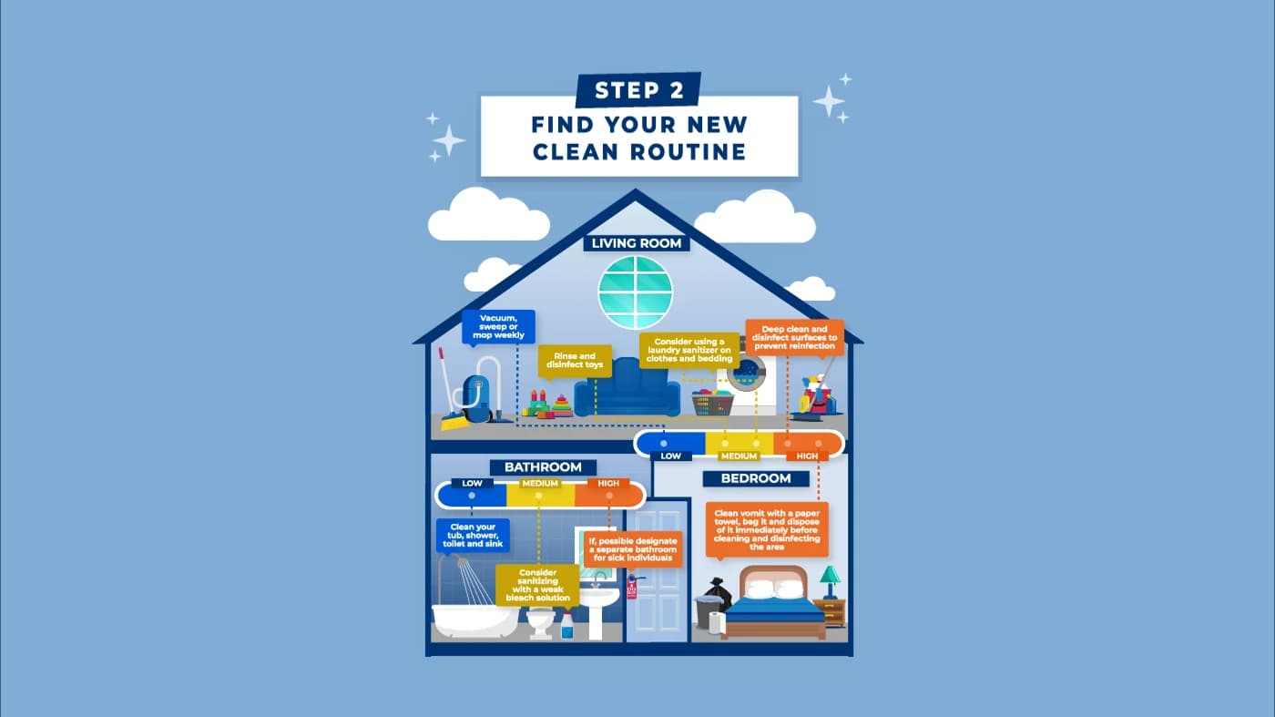 Illustration & Infographics