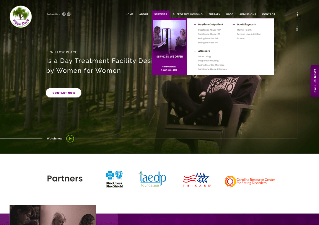 Original website example 2