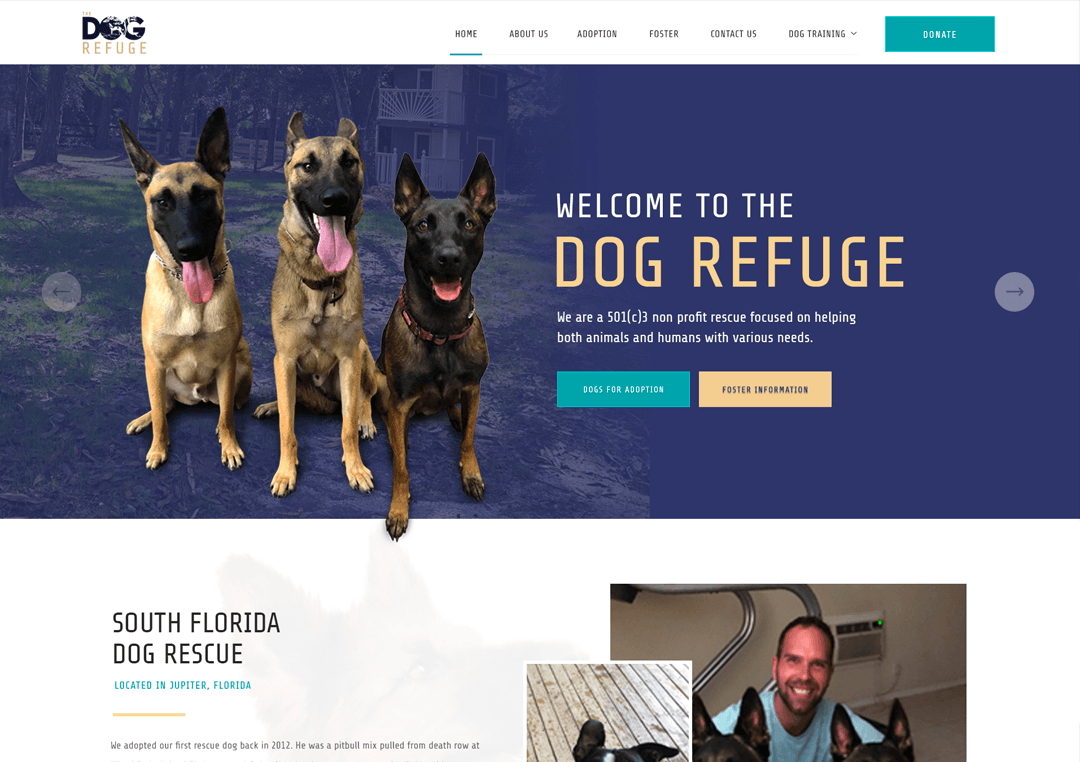Homepage design concept example 2